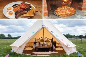 Orchard View Farm Glamping & Camping
