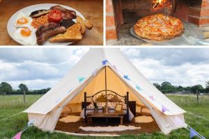Orchard View Farm Camping