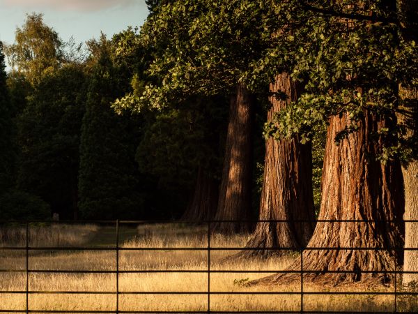 Explore Buckinghamshire’s Country Parks