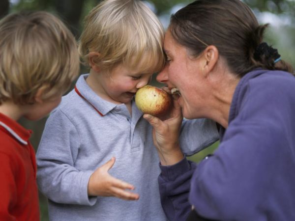 Family Friendly Walks in Buckinghamshire 