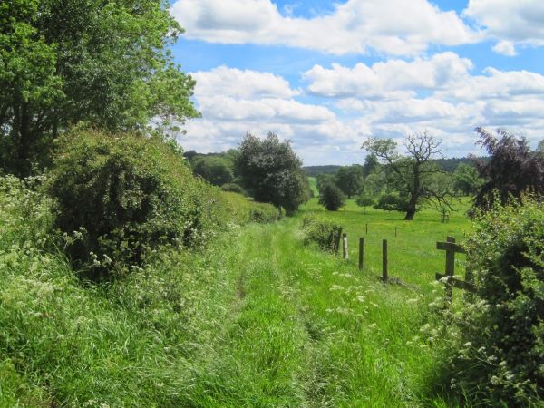 Chess Valley Walk