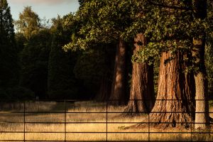 Langley Country Park