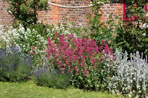 Chiltern Open Air Museum