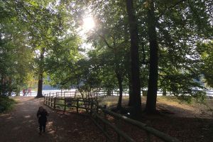 Black Park 