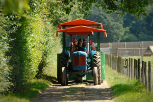 Odds Farm Park