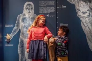 Discover Bucks Museum and the Roald Dahl Children's Gallery