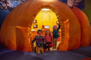Discover Bucks Museum and the Roald Dahl Children's Gallery