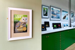 Emerald Frames and Gallery