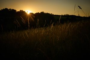 Capture the Chiltern Hills - Experiential Photography Walks