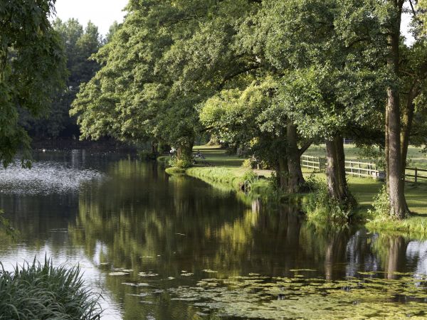 Hartwell House Gardens