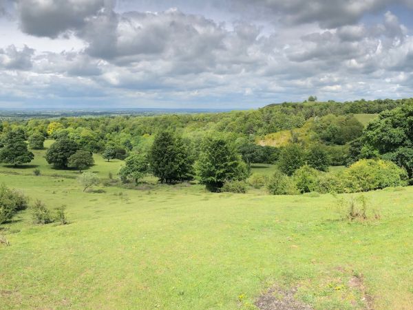 The Great Chiltern Walk