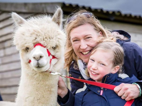 Abbotts View Alpacas