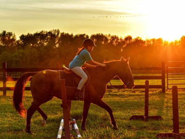 Horsewyse Pony Activity Days 