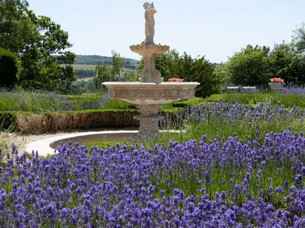 Glorious gardens and beautiful countryside