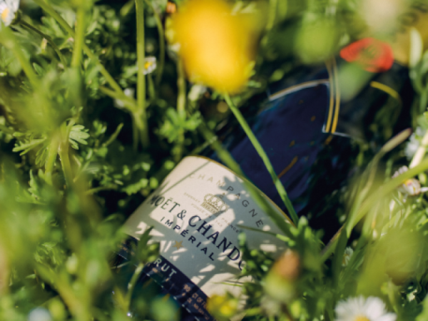 Moët Summer