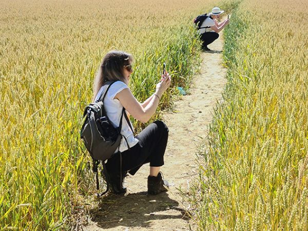 Capture the Chiltern Hills - Photography Taster Session