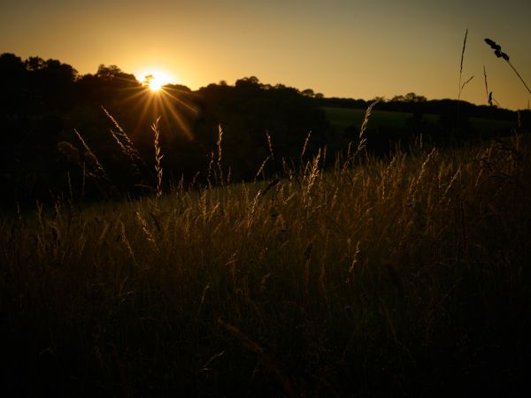 Smartphone Photography Workshop
