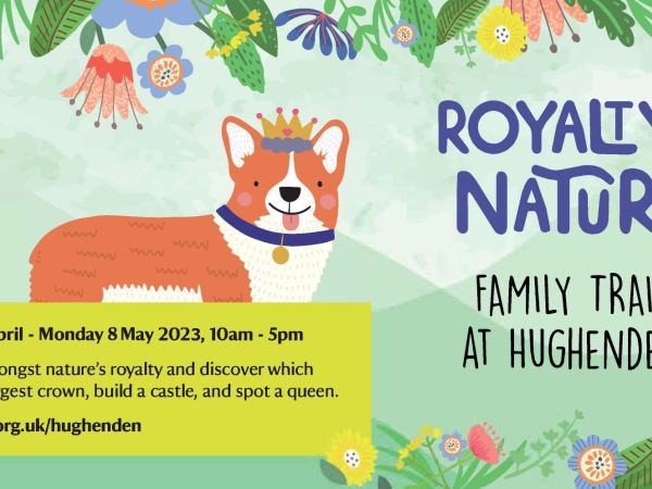 Royalty in nature trail at Hughenden