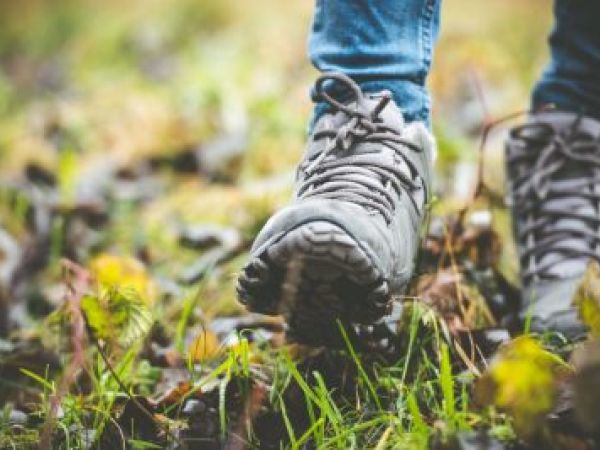 Chiltern Society Organised Walks - Wendover