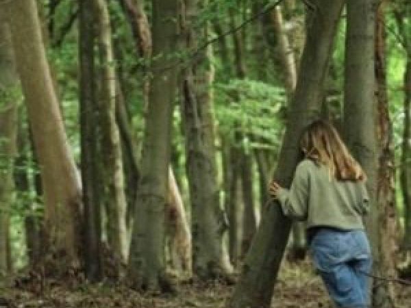 Chiltern Society Event - Forest Bathing