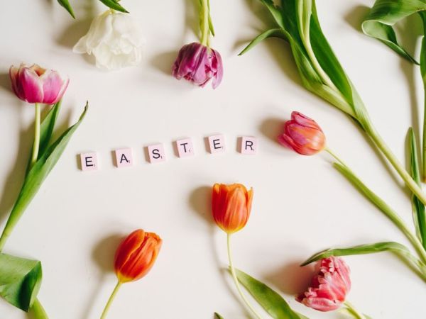 Easter Egg-Stravaganza Special Event at Discover Bucks Museum