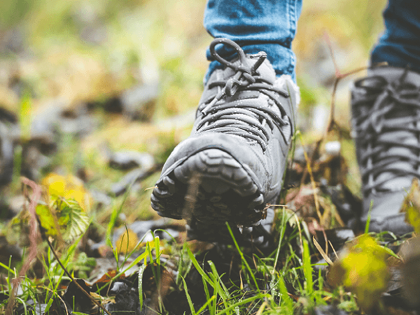Chiltern Society Organised Walks - Wooburn Green