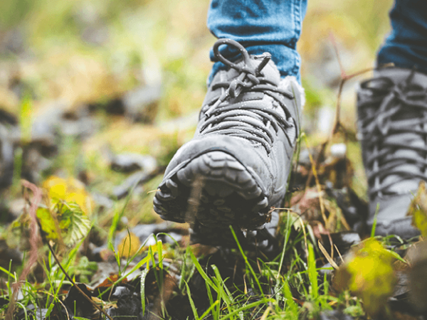 Chiltern Society Organised Walks - Chesham