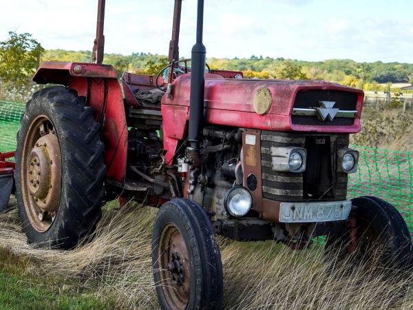 Harvest Celebration @ Hogshaw Farm & Wildlife Park