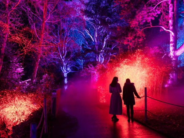 Christmas Light trail at Waddesdon Manor