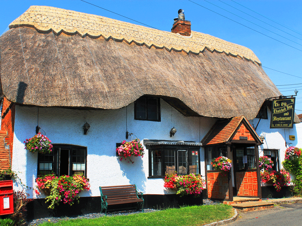 The Old Thatched Inn