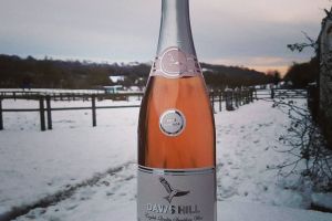 Daws Hill Vineyard