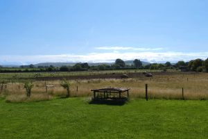Orchard View Farm