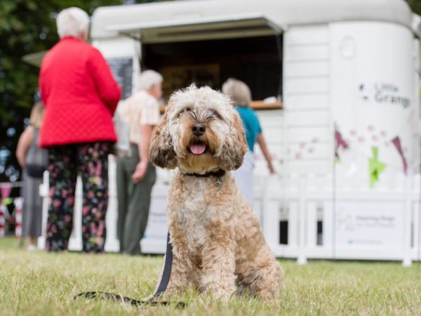 Dog Friendly Buckinghamshire