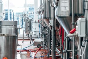 Rebellion Brewery 