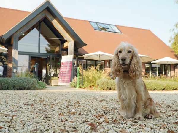 The Grange Restaurant at Hearing Dogs for Deaf People