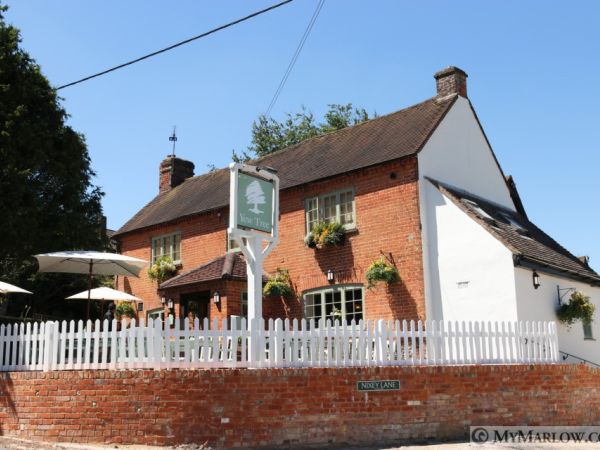 The Yew Tree