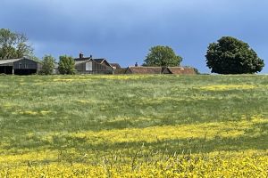 Pitchcott Farm