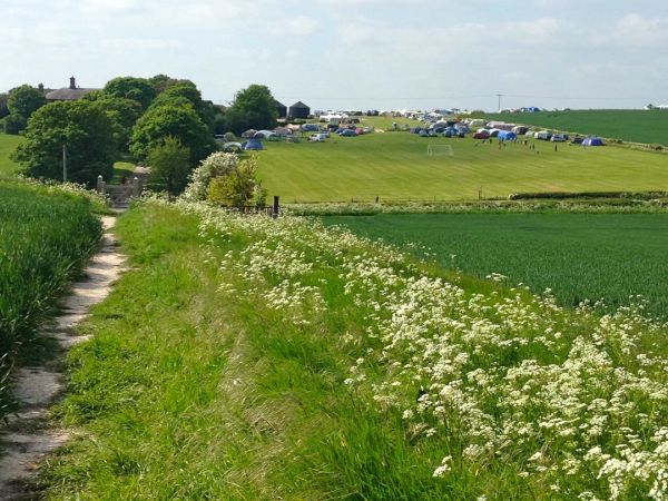 Town Farm Campsite, Ivinghoe