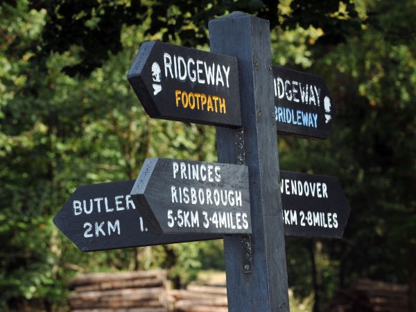 Buckinghamshire's Best Walks