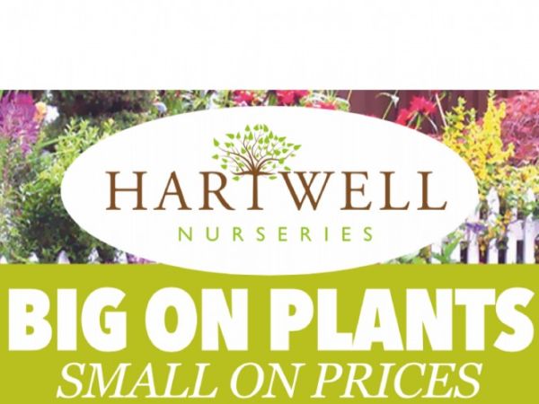 Hartwell Nurseries