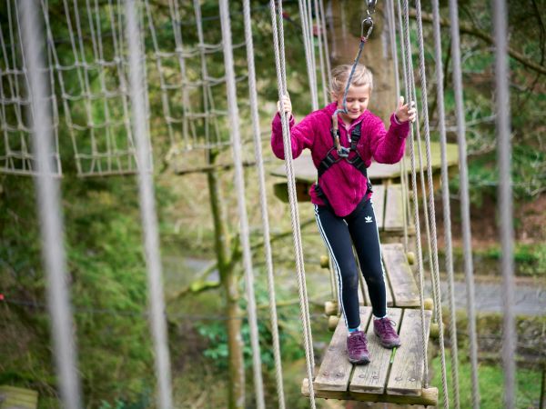 Go Ape Wendover Woods 