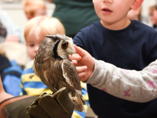 One World Animals - Bourne End - August 14th 2023 