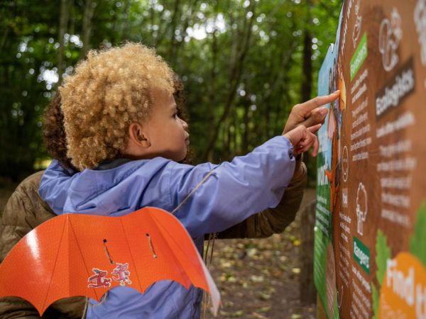 Zog: A Forest Adventure 